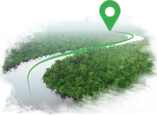 Thematic image deppicting route to the Sundarbans