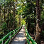 Spot images of Karamjal