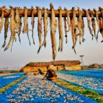 Spot images of Dublarchar