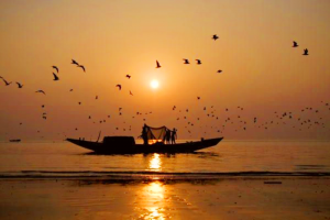 Cover image of Dublarchar