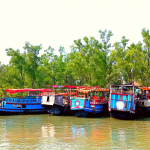 Spot images of Kalagachia
