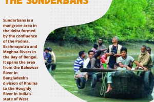 Cover image of Sundarbans Tour