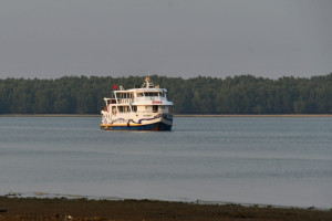 Cover image of Explore The Magical Mangrove Forest Sundarban.