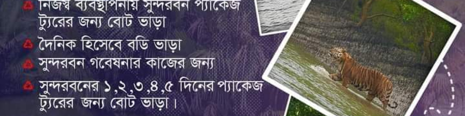 Cover image of চিল ট্যুরিজম