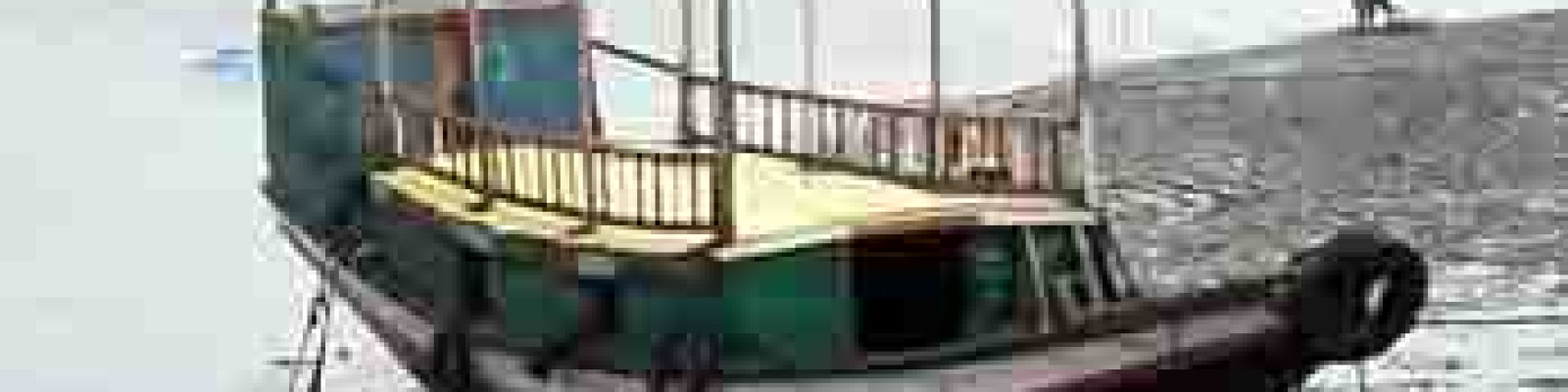 Cover image of Masum Towler Services