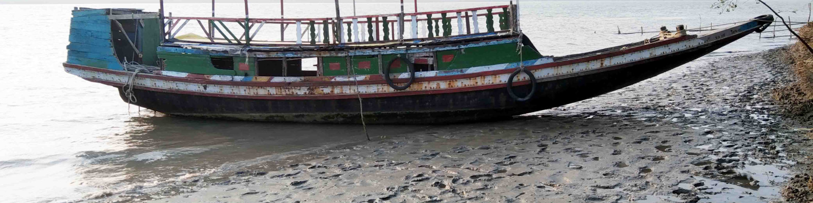 Cover image of Vai Vai Tourist Service