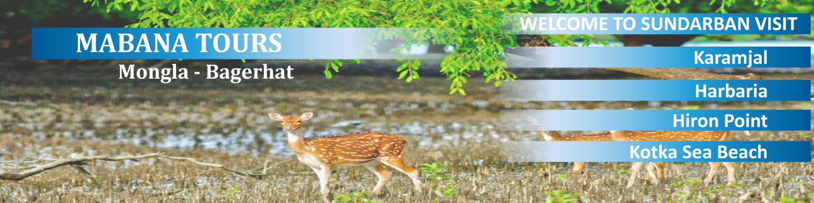 Cover image of Mabana Tours