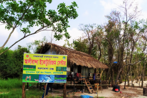 Cover image of Alibanda