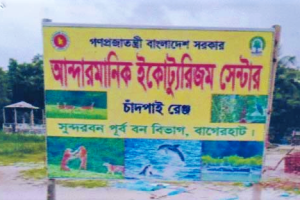 Cover image of Andermanik