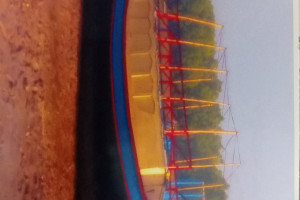 Cover image of Mangrove - 1