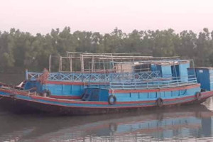 Cover image of Sundarbans Ecotourism-2