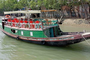 Cover image of Vai Vai Tourist Towler Service