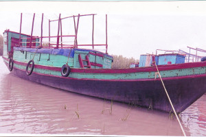 Cover image of GAZI - 1