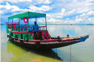 Cover image of Mayar Dowa Trowler Service