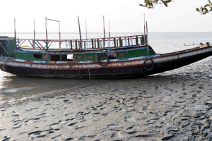 Cover image of Vai Vai Tourist Service