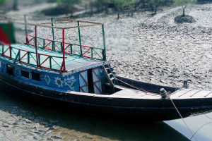Cover image of Pappu Tourism