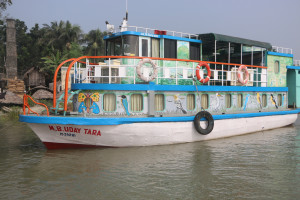 Cover image of M. B. Udaytara