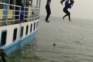 Cover image of Bird watching tour
