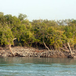 Spot images of Kalabogi