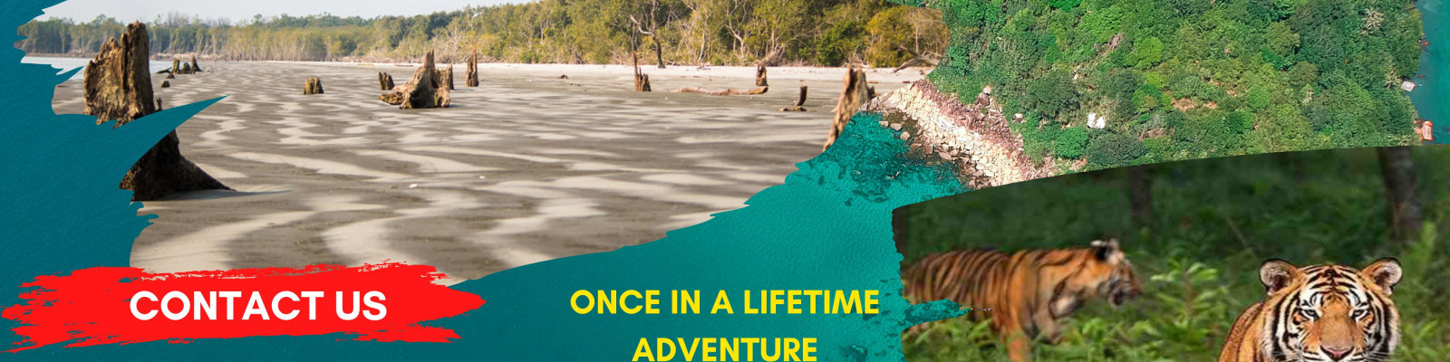 Cover image of Mangrove View Bangladesh