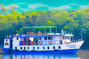 Cover image of MB Desherbon Sundarban