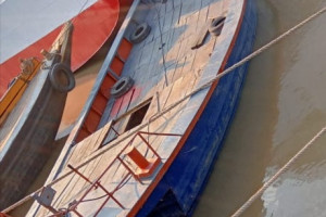 Cover image of M.B Dolphin