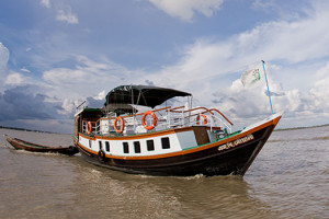 Cover image of M.B Mowali