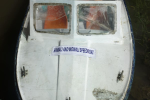 Cover image of M.L Bawali