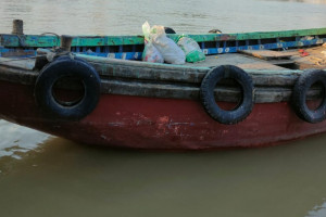 Cover image of M V Zerin