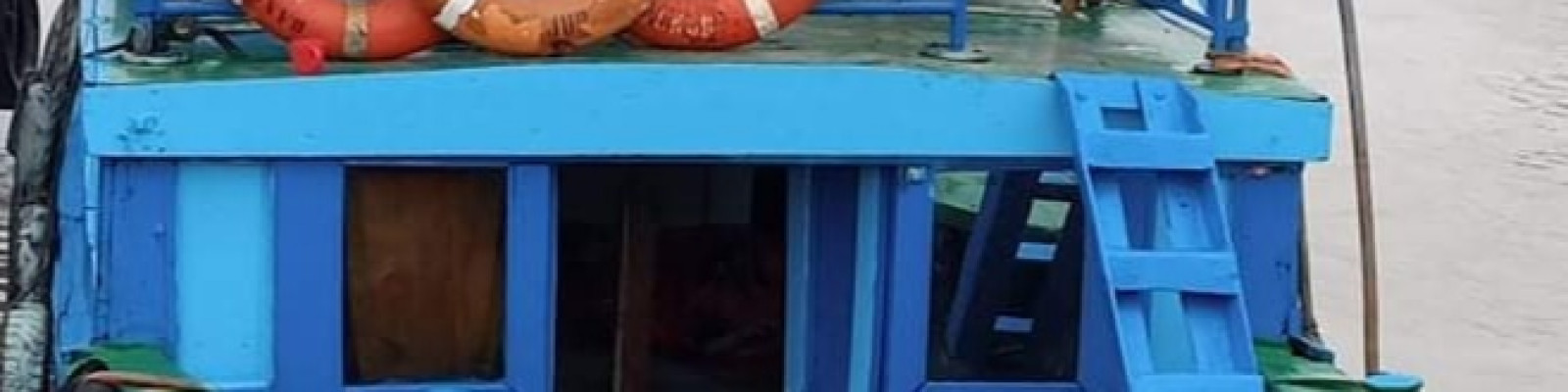 Cover image of MB Golpata