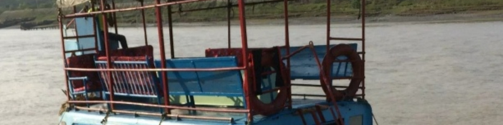 Cover image of MB Bapari